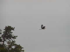 Image file: photo05.jpg