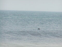 Image file: photo01.jpg