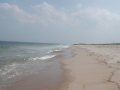 Image file: photo02.jpg