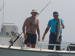 Image file: photo05.jpg