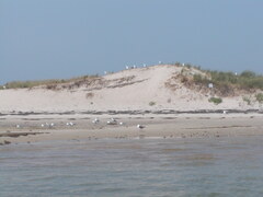 Image file: photo08.jpg