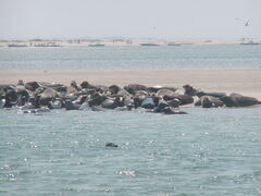 Image file: photo09.jpg