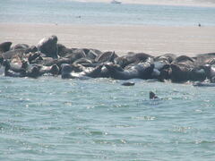 Image file: photo10.jpg