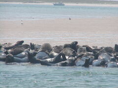 Image file: photo12.jpg