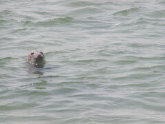 Image file: photo15.jpg