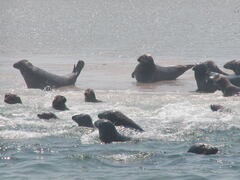 Image file: photo17.jpg