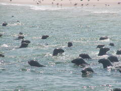 Image file: photo18.jpg