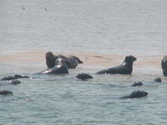 Image file: photo22.jpg