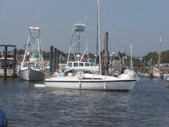 Image file: photo28.jpg