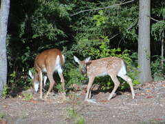 Image file: photo03.jpg