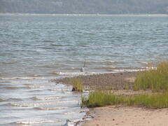 Image file: photo05.jpg