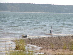 Image file: photo09.jpg