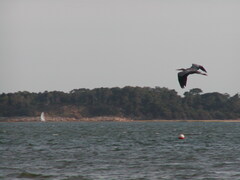 Image file: photo10.jpg