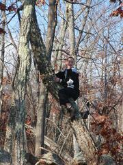 Image file: photo12.jpg