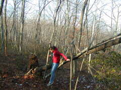 Image file: photo22.jpg