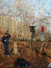 Image file: photo24.jpg