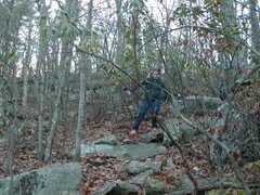 Image file: photo43.jpg