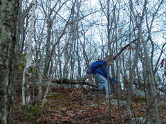 Image file: photo44.jpg