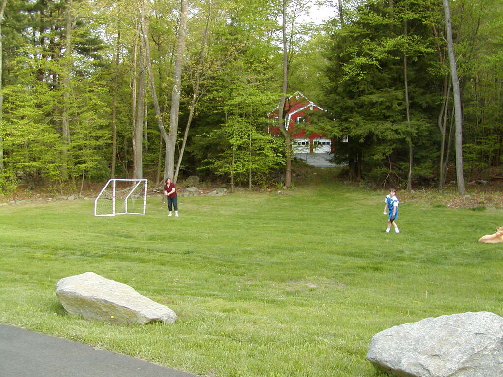 No description provided for: /2002/04-06/0511-yardball/_1/photo01.html