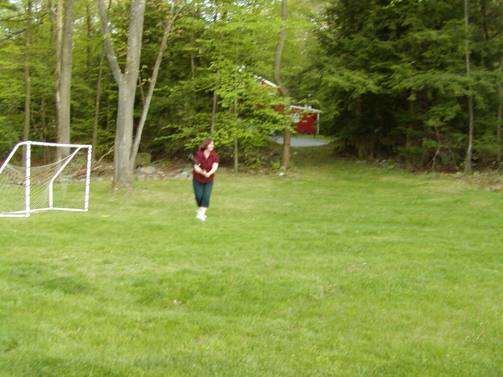 No description provided for: /2002/04-06/0511-yardball/_1/photo04.html