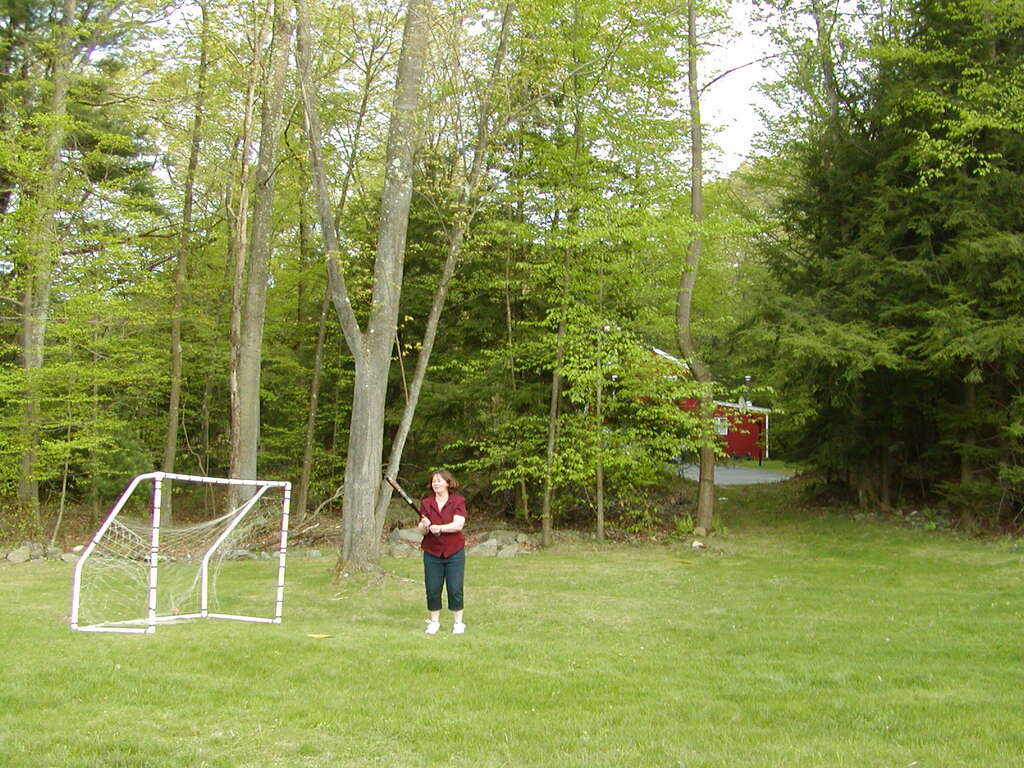 No description provided for: /2002/04-06/0511-yardball/_1/photo05.html