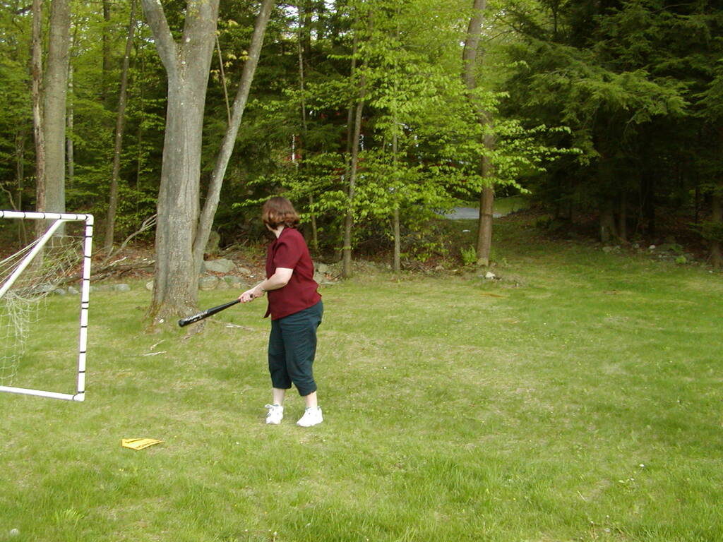 No description provided for: /2002/04-06/0511-yardball/_1/photo07.html