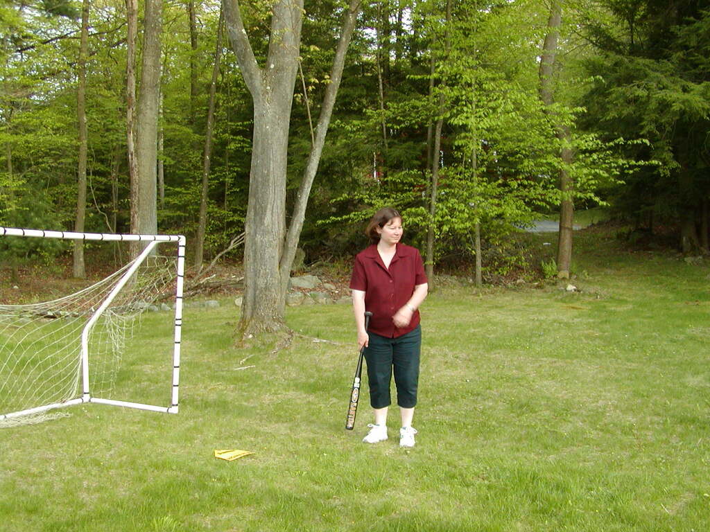 No description provided for: /2002/04-06/0511-yardball/_1/photo13.html