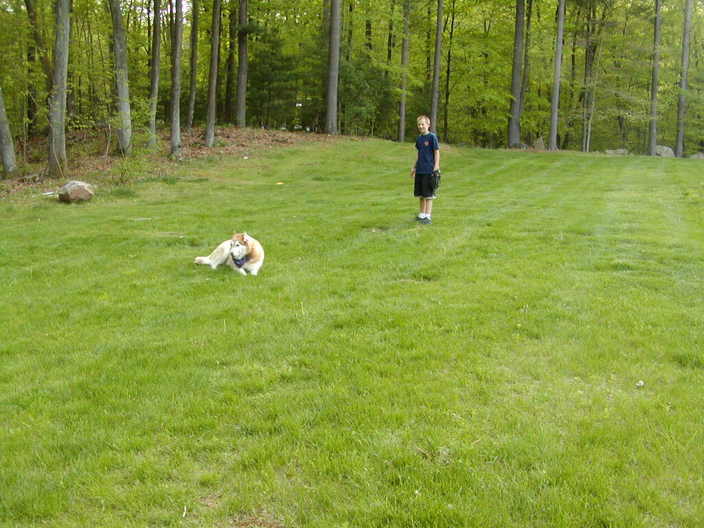 No description provided for: /2002/04-06/0511-yardball/_1/photo17.html