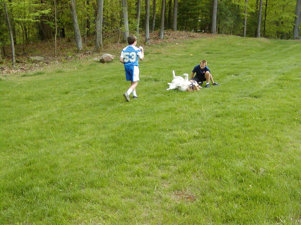 No description provided for: /2002/04-06/0511-yardball/_2/photo21.html