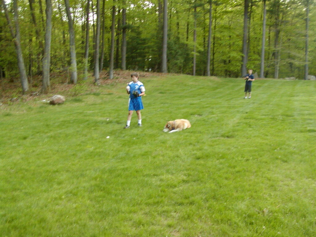 No description provided for: /2002/04-06/0511-yardball/_2/photo28.html