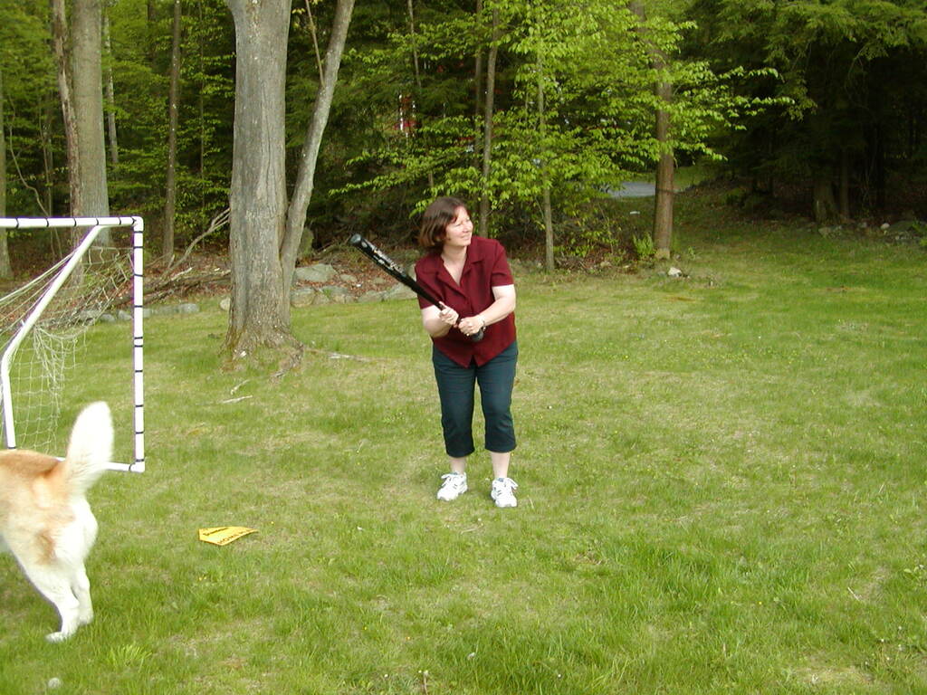 No description provided for: /2002/04-06/0511-yardball/_2/photo35.html