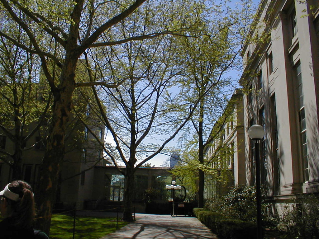 No description provided for: /2002/04-06/0512-mit/photo01.html