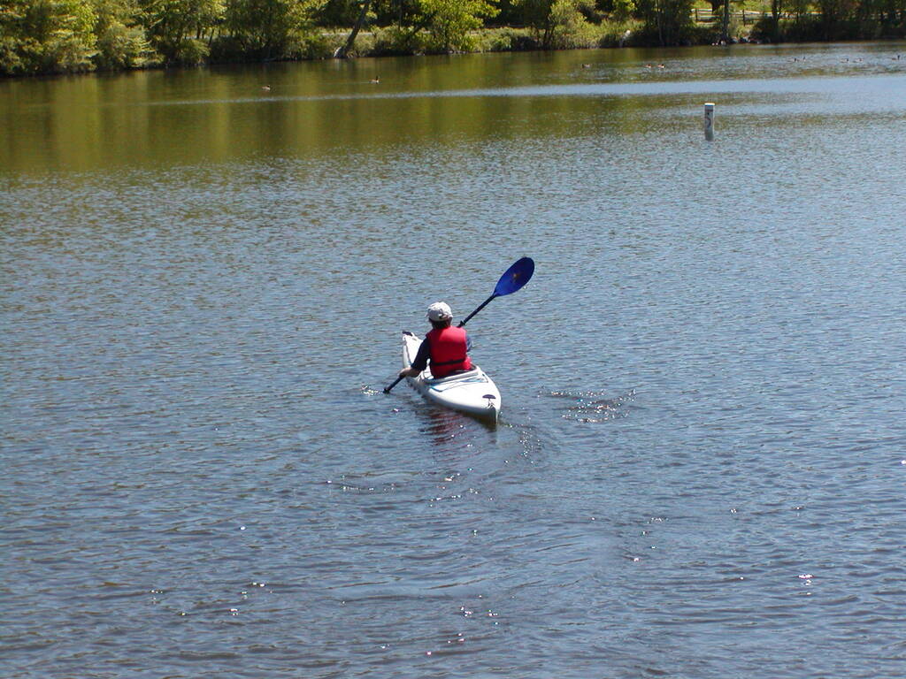 No description provided for: /2002/04-06/0525-kayaking/_1/photo04.html