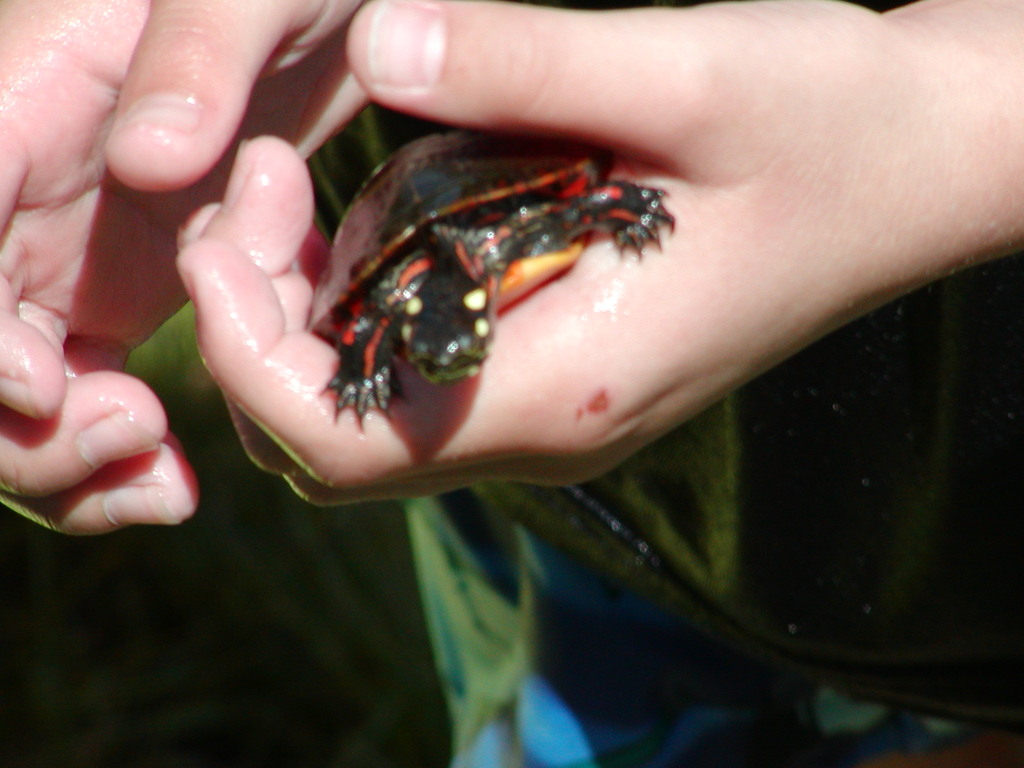 No description provided for: /2002/04-06/0525-kayaking/_3/photo45.html