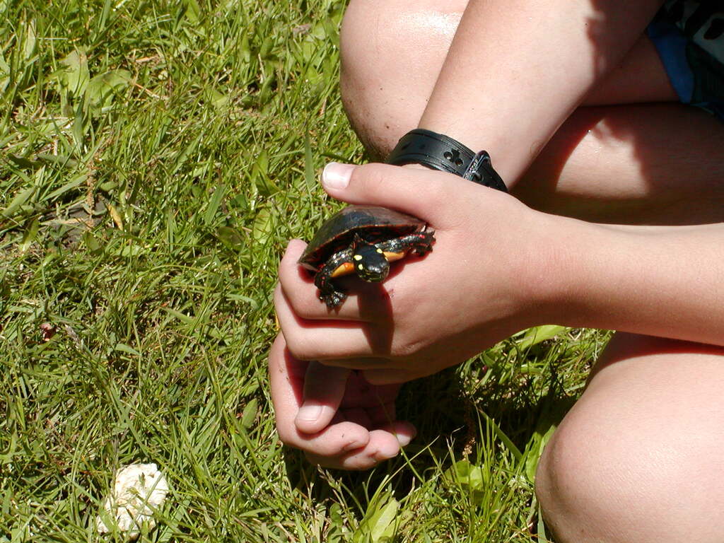 No description provided for: /2002/04-06/0525-kayaking/_3/photo46.html