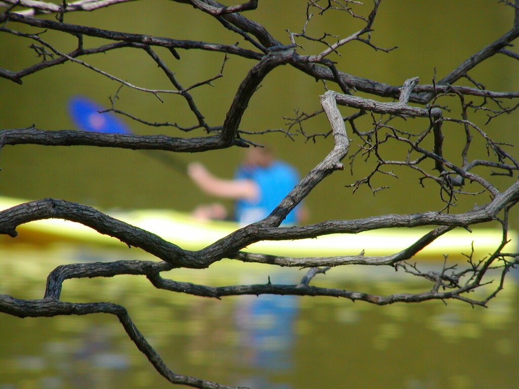 No description provided for: /2002/04-06/0525-kayaking/_3/photo56.html