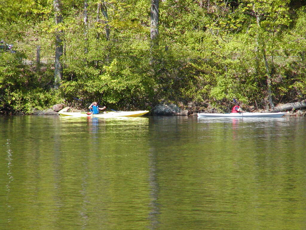 No description provided for: /2002/04-06/0525-kayaking/_3/photo60.html