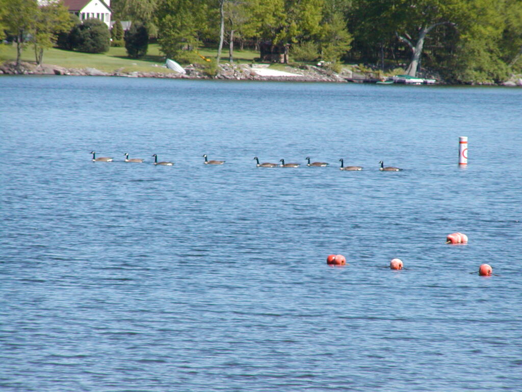 No description provided for: /2002/04-06/0525-kayaking/_3/photo61.html