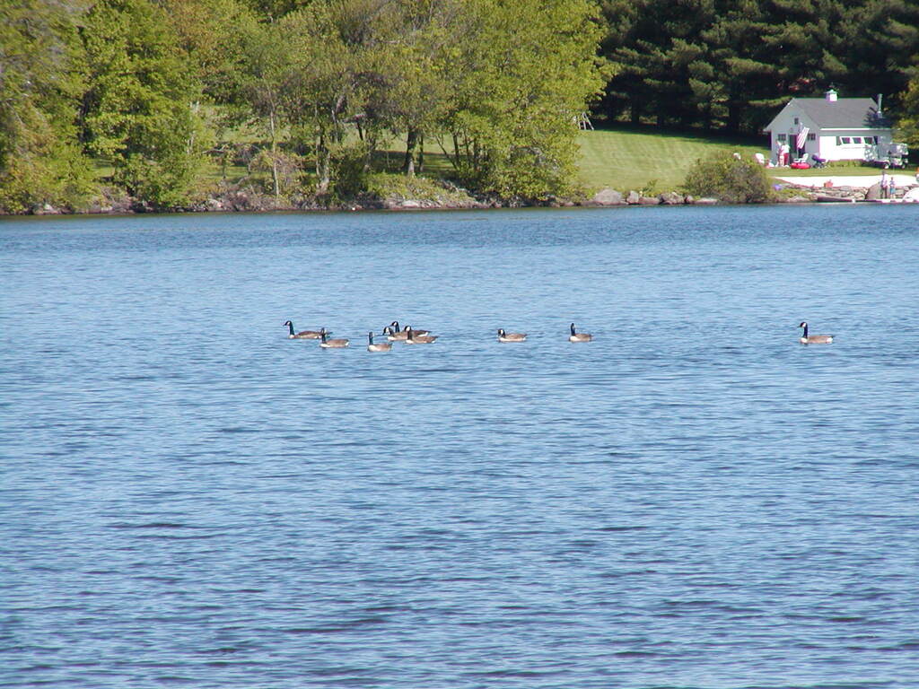 No description provided for: /2002/04-06/0525-kayaking/_3/photo62.html