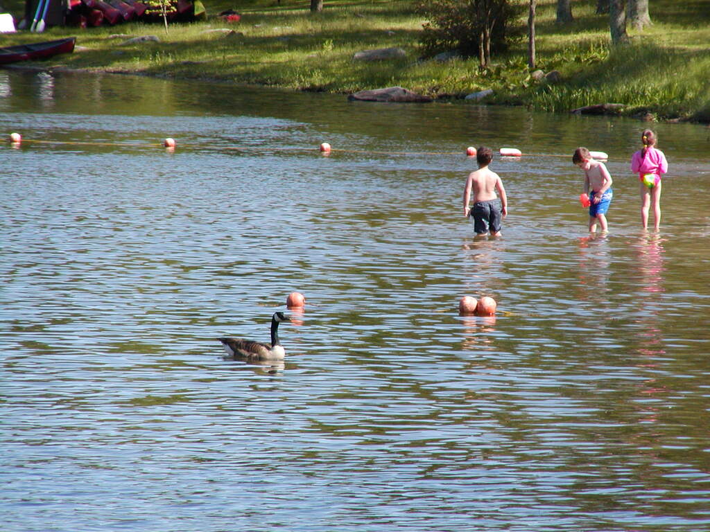 No description provided for: /2002/04-06/0525-kayaking/_3/photo64.html