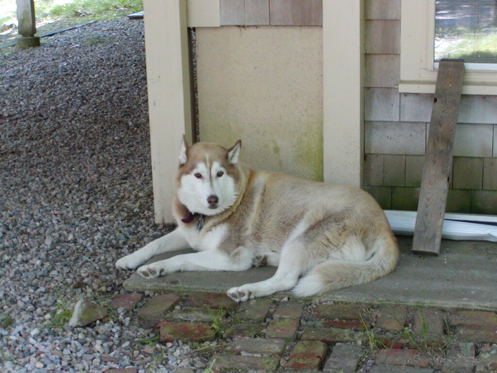 No description provided for: /2002/07-09/0712-family-at-cape/photo04.html