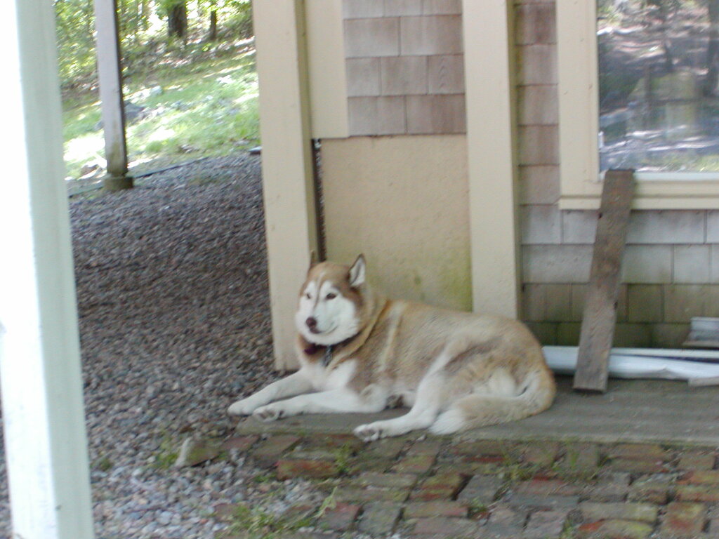 No description provided for: /2002/07-09/0712-family-at-cape/photo05.html