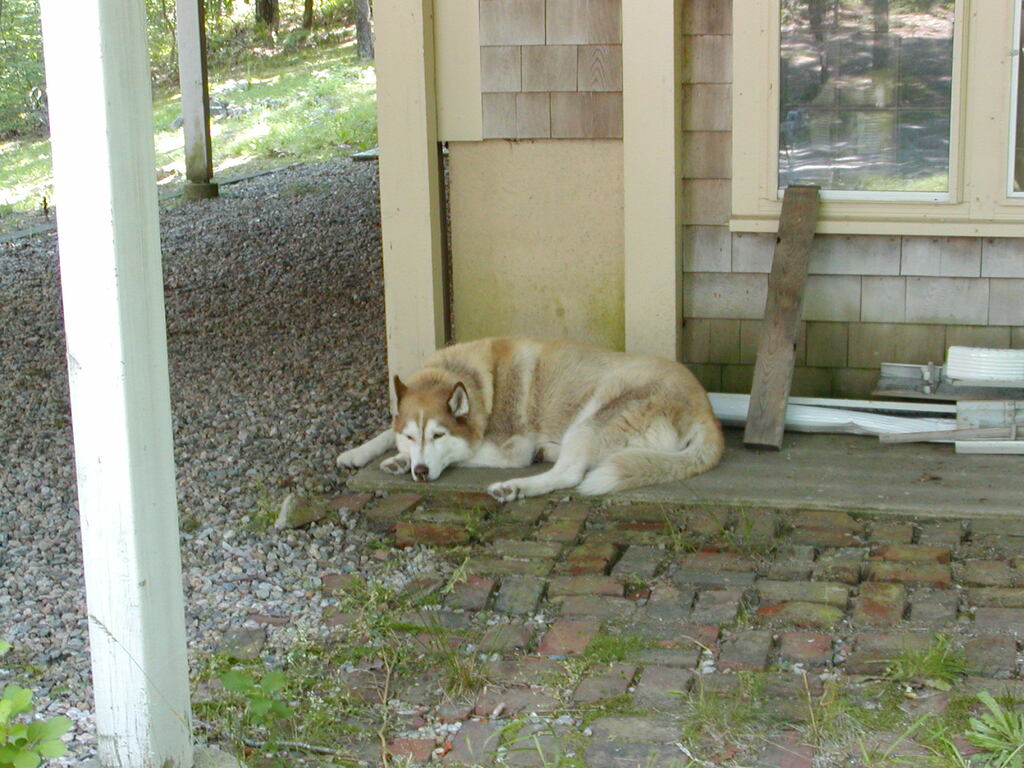 No description provided for: /2002/07-09/0712-family-at-cape/photo06.html