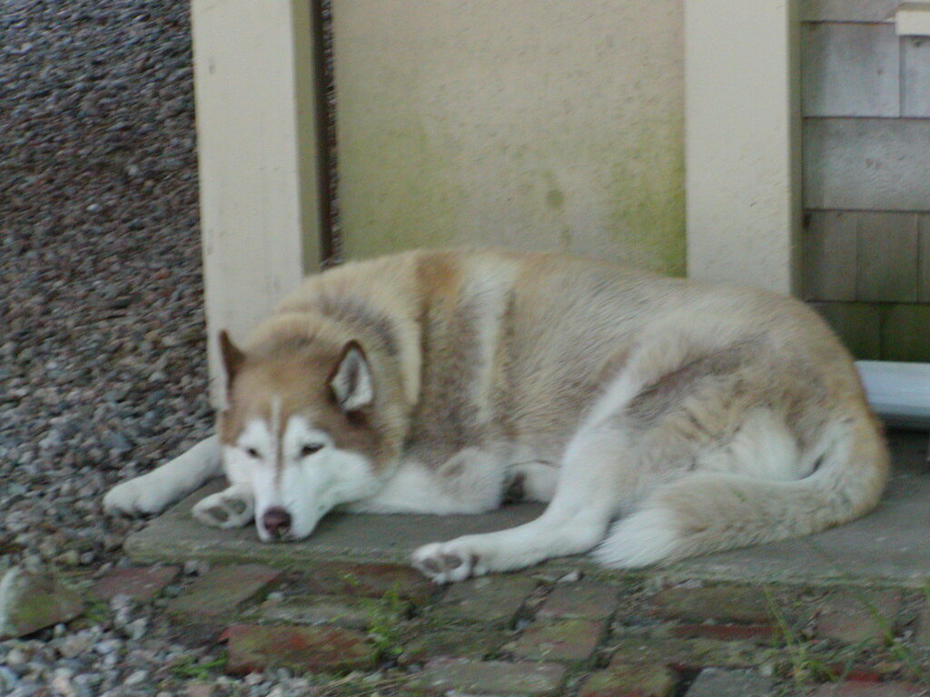 No description provided for: /2002/07-09/0712-family-at-cape/photo07.html