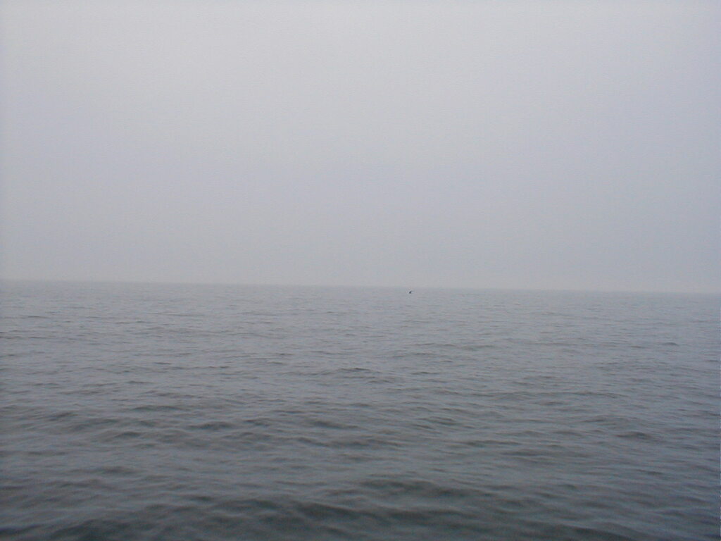 No description provided for: /2002/07-09/0712-jhu-cty-lcf/_2/photo048.html