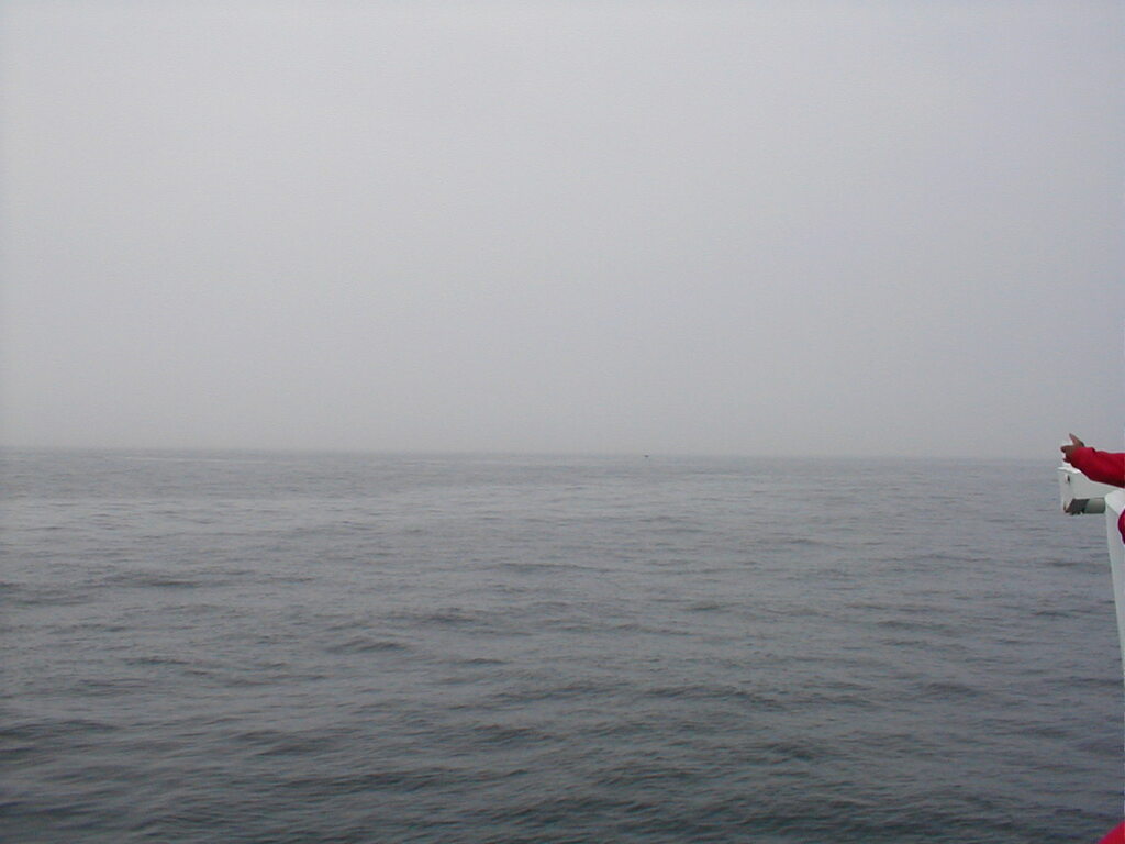 No description provided for: /2002/07-09/0712-jhu-cty-lcf/_3/photo049.html