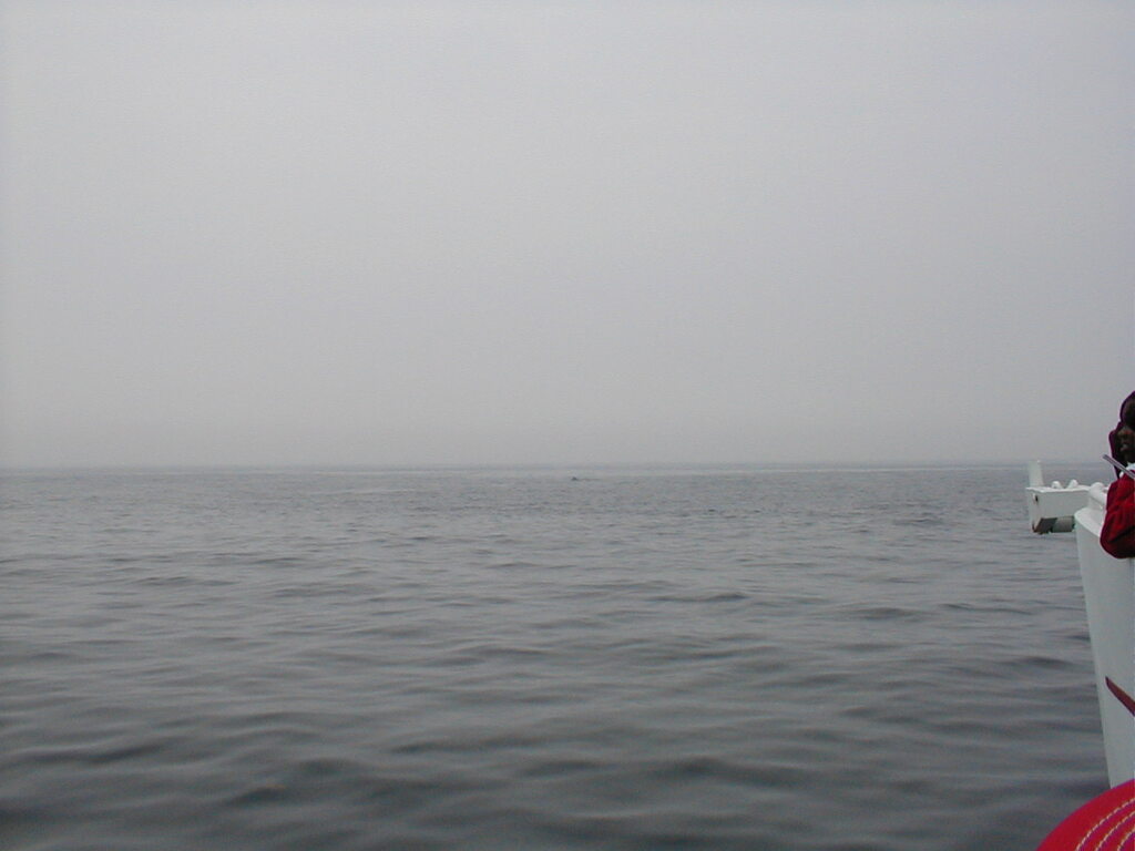 No description provided for: /2002/07-09/0712-jhu-cty-lcf/_3/photo051.html