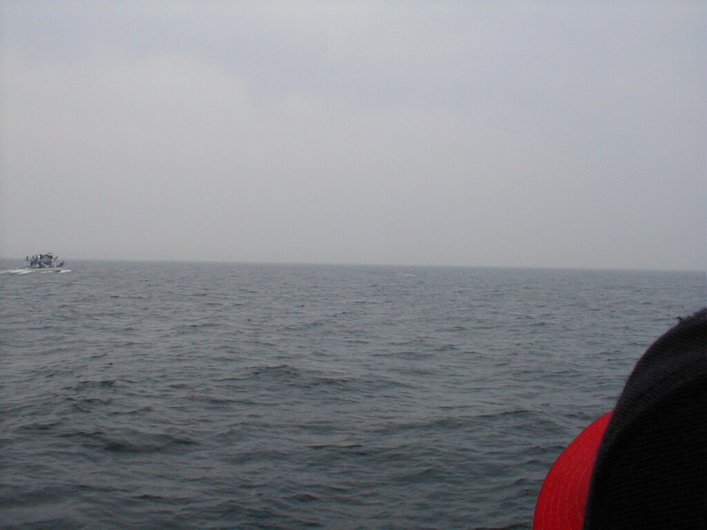 No description provided for: /2002/07-09/0712-jhu-cty-lcf/_3/photo055.html