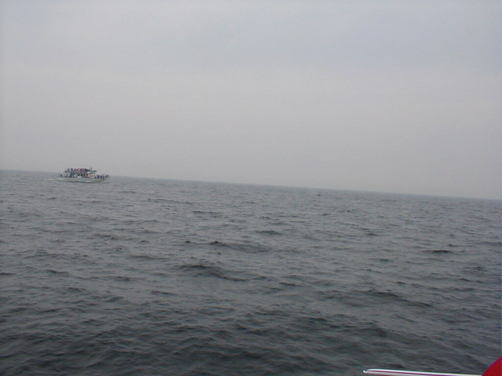 No description provided for: /2002/07-09/0712-jhu-cty-lcf/_3/photo056.html