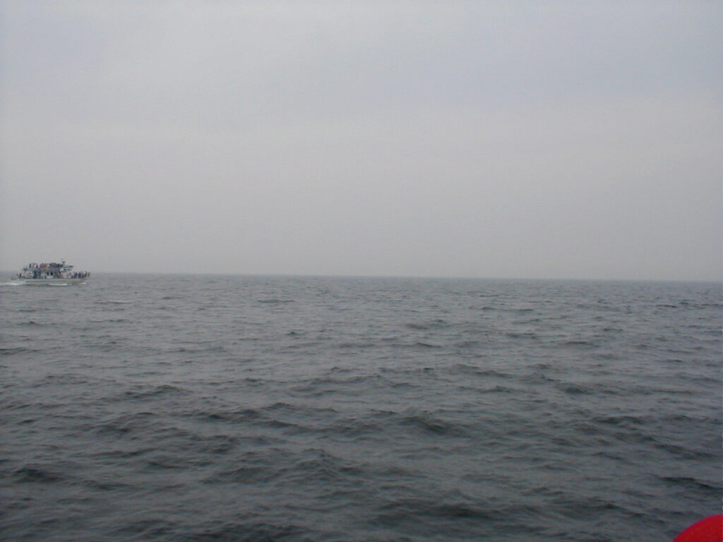 No description provided for: /2002/07-09/0712-jhu-cty-lcf/_3/photo057.html